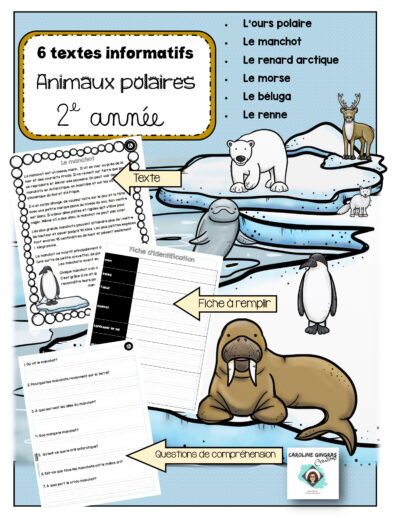 compréhension-de-textes-informatifs-animaux-polaires-images-page-1