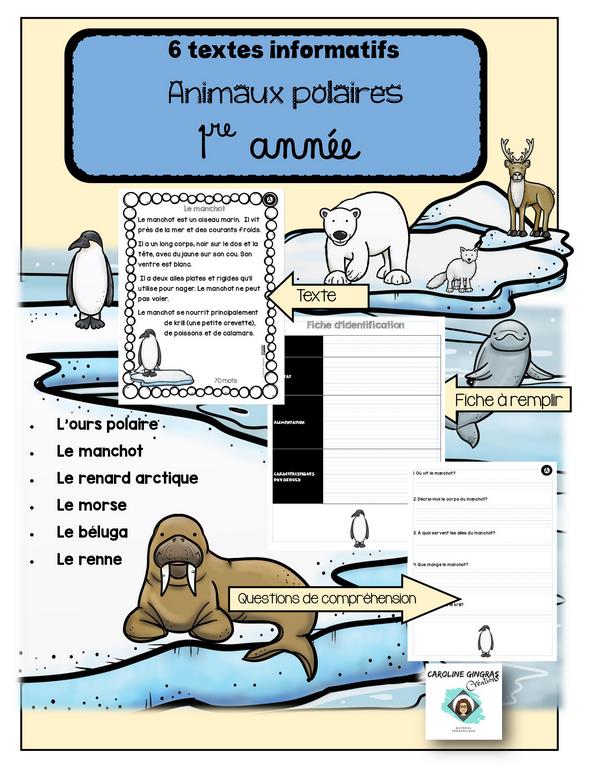 Atelier Hiver - Compréhension de textes informatifs - Animaux polaires - 2e  année - Caroline Gingras Créations