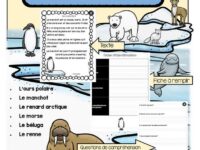 compréhension-de-textes-1re-année-animaux-polaires-page-1
